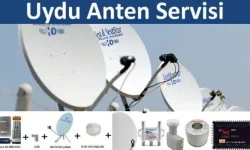 Uyducu Şehitlik Çamlık Şanlıurfa